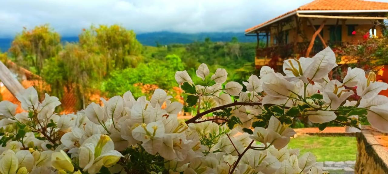 Macua Villa Chipata Eksteriør billede