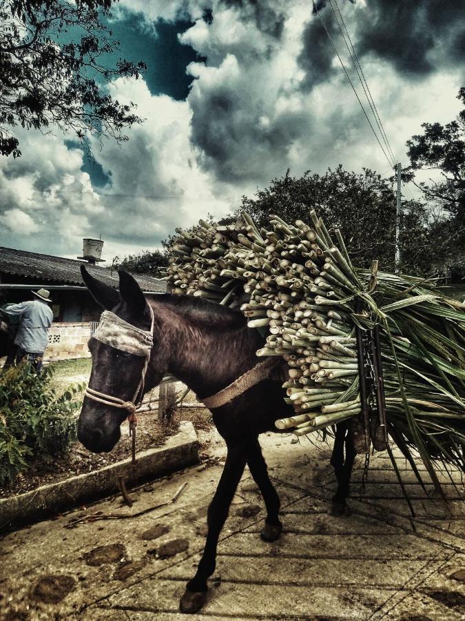 Macua Villa Chipata Eksteriør billede